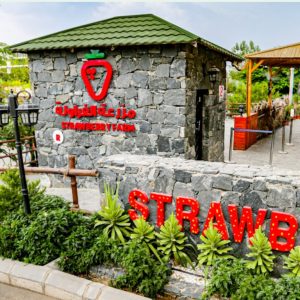 Strawberry Farm Top-Rated Attractions